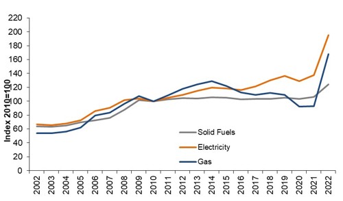 Domestic energy prices rose moderately between 2002 and 2021, but then rose much more sharply between 2021 and 2022